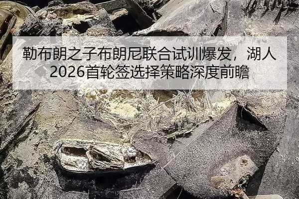 lei-bu-lang-zhi-zi-bu-lang-ni-lian-he-shi-xun-bao-fa-hu-ren-shou-lun-qian-xuan-ze-ce-lve-shen-du-qian-zhan-2-437.jpg
